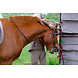 F.R.A. Wandelhoofdstel Campari Combi-hoofdstel F.R.A. Wandelhoofdstel Campari Combi-hoofdstel