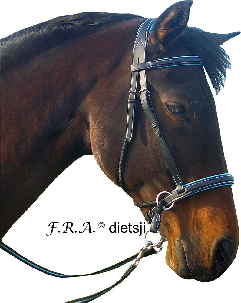 F.R.A. Dietsji Bitless bridle with reins Black Cob