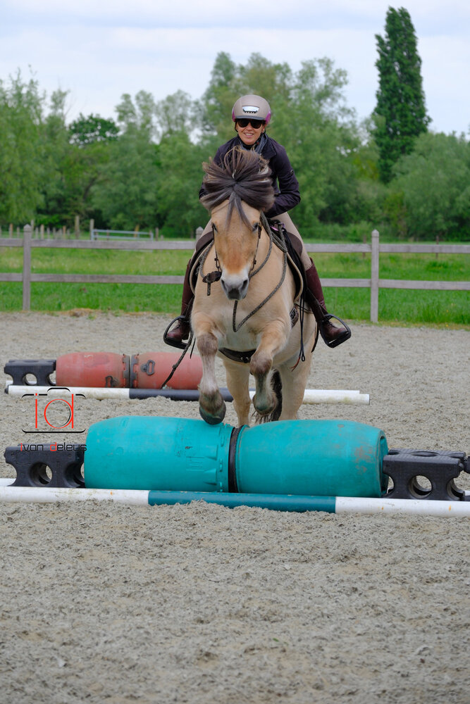 Parelli Carte cadeau leçon Parelli Parelli Carte cadeau leçon Parelli