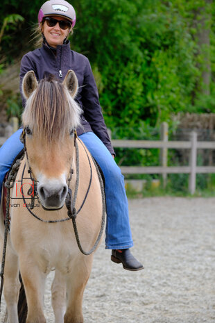 Parelli Carte cadeau leçon Parelli Parelli Carte cadeau leçon Parelli