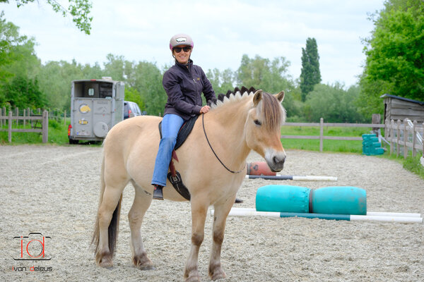 Parelli Gift card Parelli lesson