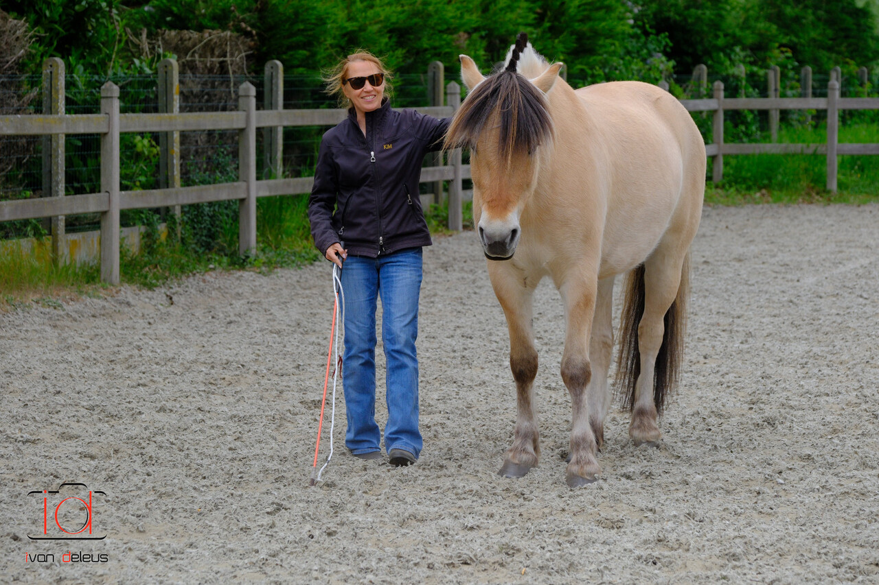 Parelli Carte cadeau leçon Parelli Parelli Carte cadeau leçon Parelli