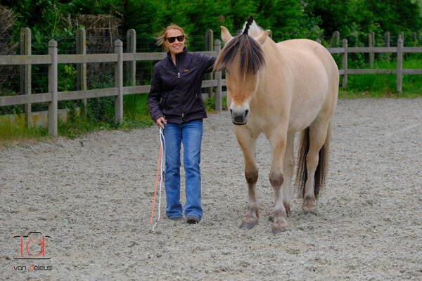 Parelli Cadeaubon Parelli-les Parelli Cadeaubon Parelli-les