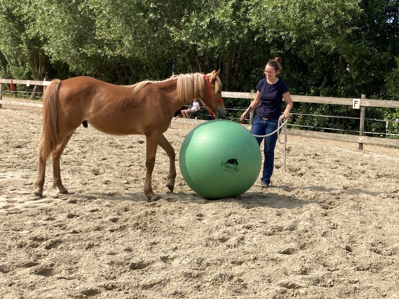 Parelli Green Ball Parelli Green Ball