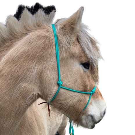 Parelli Pat's Horseman's Halter Teal