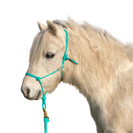 Parelli Pat's Horseman's Halter Teal