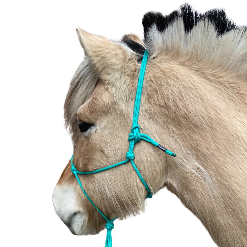 Parelli Pat's Horseman's Halter Teal