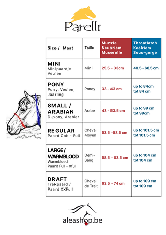 Parelli Licol Parelli Teal