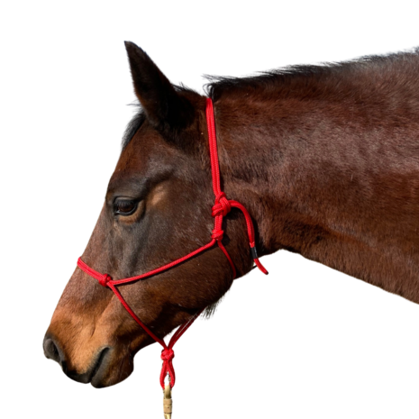 Parelli Pat's Horseman's Halter Red Parelli Pat's Horseman's Halter Red