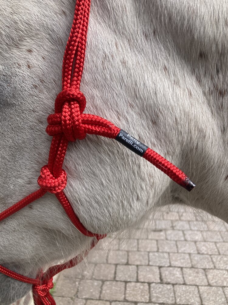 Parelli Pat's Horseman's Halter Red Parelli Pat's Horseman's Halter Red