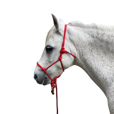 Parelli Pat's Horseman's Halter Red Parelli Pat's Horseman's Halter Red