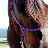 Parelli Parelli Horseman's Halter Purple