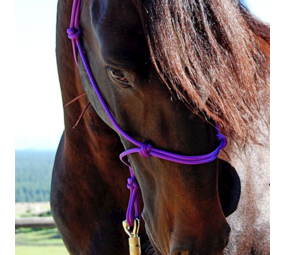 Parelli Parelli Horseman's Halter Purple Parelli Parelli Horseman's Halter Purple