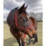 Parelli Parelli Horseman's Halter Red