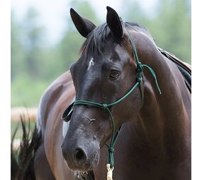 Parelli Parelli Horseman's Halter Green Parelli Parelli Horseman's Halter Green