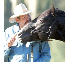 Parelli Parelli Horseman's Halter Black Parelli Parelli Horseman's Halter Black