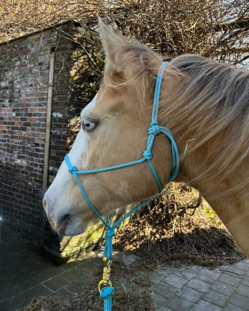 Parelli Touwhalster Parelli Baby Blue Parelli Touwhalster Parelli Baby Blue