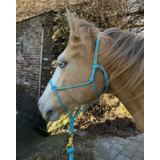 Parelli Parelli Horseman's Halter Baby Blue