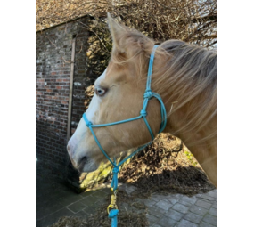 Parelli Parelli Horseman's Halter Baby Blue Parelli Parelli Horseman's Halter Baby Blue
