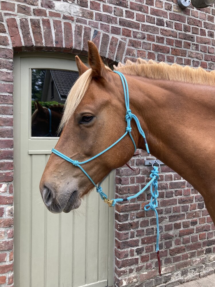 Parelli Touwhalster Parelli Baby Blue Parelli Touwhalster Parelli Baby Blue