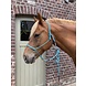 Parelli Pat's Horseman's Halter Baby Blue Parelli Pat's Horseman's Halter Baby Blue