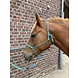 Parelli Pat's Horseman's Halter Baby Blue Parelli Pat's Horseman's Halter Baby Blue