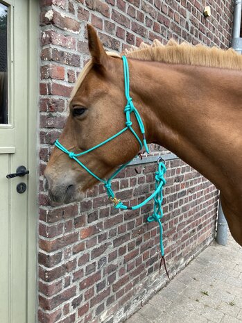 Parelli Pat's Horseman's Halter Teal