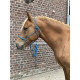 Parelli Parelli Horseman's Halter Blue