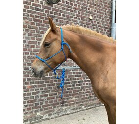 Parelli Touwhalster Parelli Blauw Parelli Touwhalster Parelli Blauw