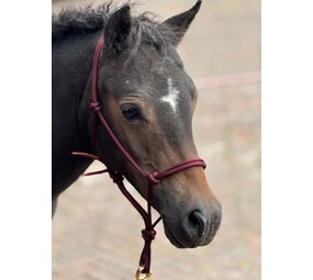 Parelli Parelli Horseman's Halter Burgundy Parelli Parelli Horseman's Halter Burgundy