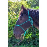 Parelli Parelli Horseman's Halter Teal