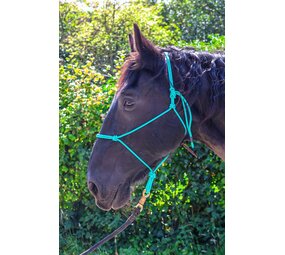 Parelli Parelli Horseman's Halter Teal Parelli Parelli Horseman's Halter Teal