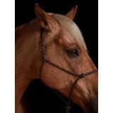 Parelli Touwhalster Parelli Vaquero Parelli Touwhalster Parelli Vaquero