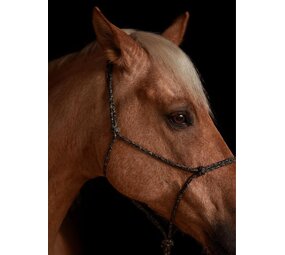 Parelli Licol Parelli Vaquero Parelli Licol Parelli Vaquero