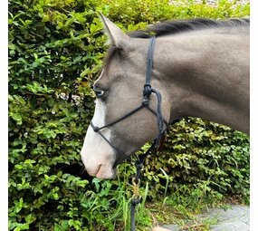 Parelli Parelli Horseman's Halter Navy Parelli Parelli Horseman's Halter Navy
