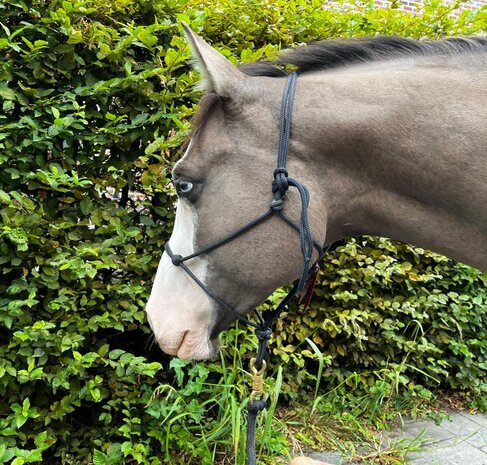 Parelli Touwhalster Parelli Navy Parelli Touwhalster Parelli Navy