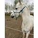 Parelli Pat's Horseman's Halter Blue Parelli Pat's Horseman's Halter Blue