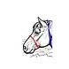 Parelli Pat's Horseman's Halter Green Parelli Pat's Horseman's Halter Green