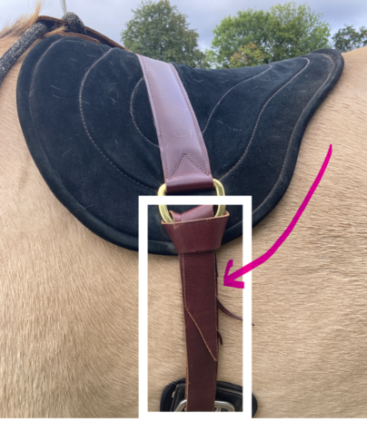 Parelli Lederen Latigo voor Parelli Bareback Pad (per stuk!) Parelli Lederen Latigo voor Parelli Bareback Pad (per stuk!)