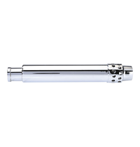 Gastro-Inox Gastro-Inox  Ø38mm overlooppijp met filter | lengte 230mm | Geheel RVS