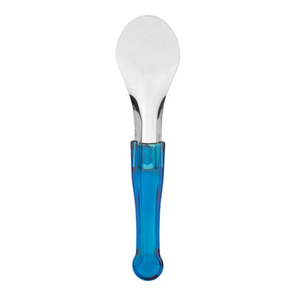 IJsschep/Spatel | RVS | Kunststof | Blauw | Handvat | 250mm