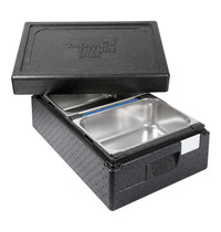Thermo Future Box isoleer-ijsbox (cap.2x36x25cm) 