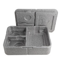 Thermo Future Box Dinner Box EPP kunststof 40x29x14(h)cm 