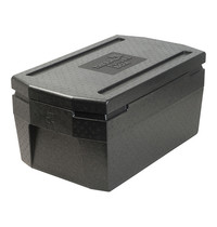 Thermo Future Box isoleerbox cap.GN1/1-200mm 530x325mm | 400x675x290(h)mm Thermo Future Box isoleerbox cap.GN1/1-200mm 530x325mm | 400x675x290(h)mm