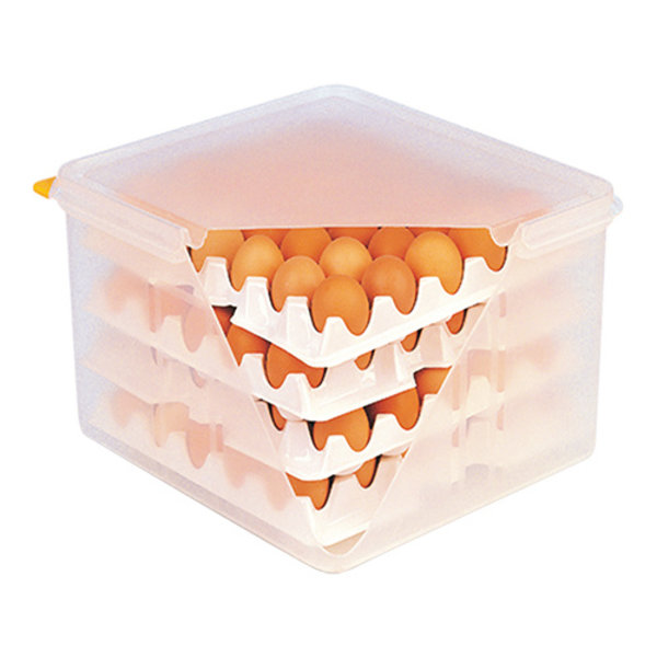 Eierbewaardoos kunststof | Incl 8 eierhouders cap. 120 | 325x355x200(h)mm