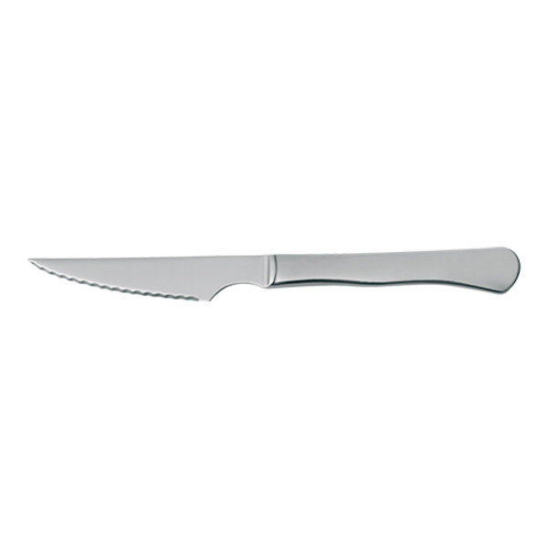 Steakmes | RVS | Per Stuk | Lengte 220mm