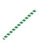 Fiesta Green Groen/wit gestreepte papieren smoothie rietjes 21cm | 250 stuks 