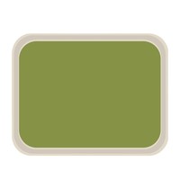 ROLTEX Dienblad | AMERICA | Polyester/Glasvezel | Groen | Stapelbaar | 460x360mm