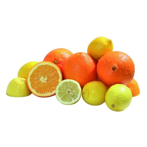 Citruspers Joy | 230V | 210x320x415(h)mm