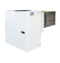 CombiSteel Insteek-Wandunit | 12.4-18m³ | -10°C/-20°C | 400V (2.47 kW) | 770x1070x860(h)mm